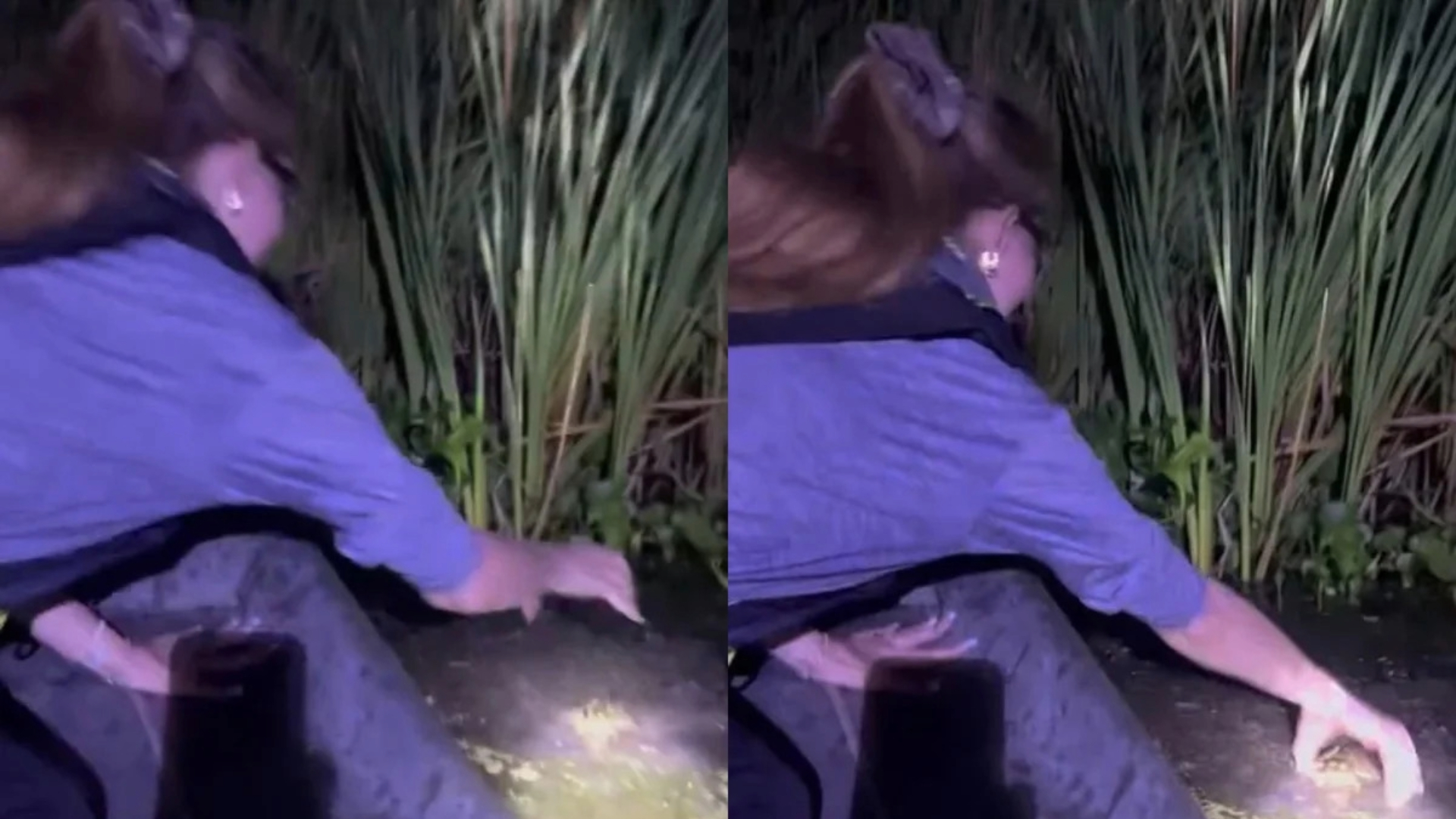 Lana Del Rey tenta capturar um jacaré à beira de um pântano durante a noite, em vídeo viral compartilhado nas redes sociais.