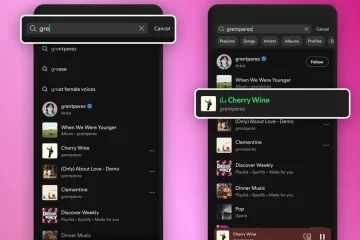 Tela do aplicativo Spotify mostrando busca por músicas após atualização do plano gratuito que permite escolher faixas específicas.