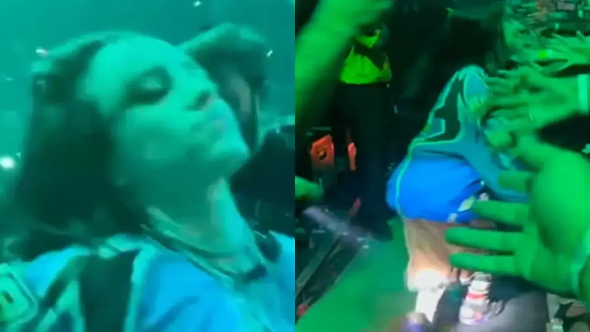 Billie Eilish é puxada por um fã durante show em Miami enquanto cumprimenta o público na turnê Hit Me Hard and Soft.