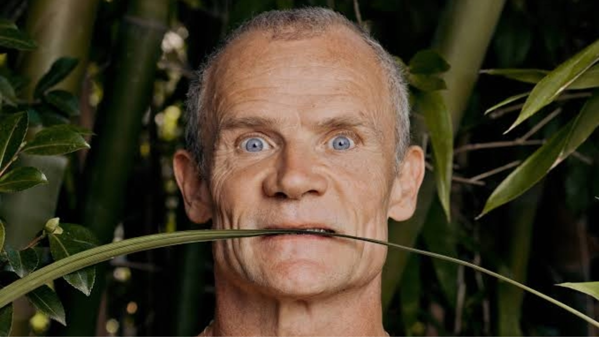 Flea, baixista do Red Hot Chili Peppers, em retrato promocional ao falar sobre a música que melhor representa a banda.
